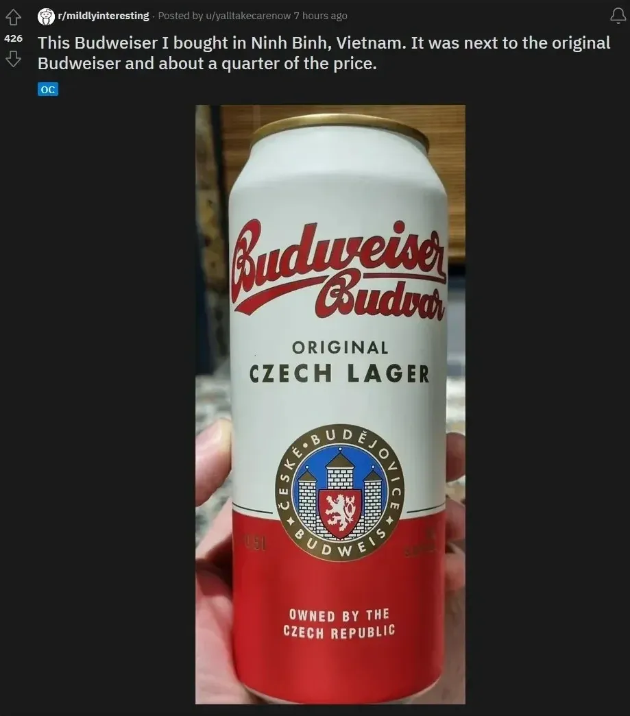 Reddit post from r/mildlyinteresting by u/yalltakecarenow. Title: This Budweiser I bought in Ninh Binh, Vietnam. It was next to the original Budweiser and about a quarter of the price. Photo shows a hand holding a can of Budweiser Budvar - Original Czech Lager, with the Ceske Budejovice crest and OWNED BY THE CZECH REPUBLIC at the bottom