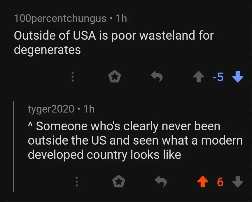 Reddit comment thread. 100percentchungus (1h, -5 downvotes): "Outside of USA is poor wasteland for degenerates". Reply: tyger2020 (1h): "^ Someone who's clearly never been outside the US and seen what a modern developed country looks like"