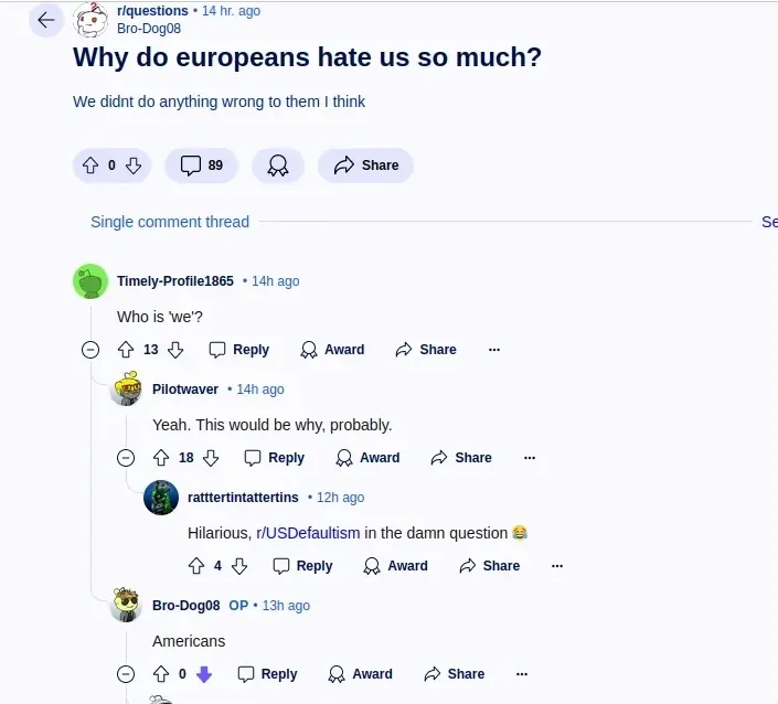 Reddit post and comment thread. r/questions, posted by Bro-Dog08 (14 hr. ago). Title: "Why do europeans hate us so much?" Body: "We didnt do anything wrong to them I think". Share. Single comment thread. Timely-Profile1865 (14h ago): "Who is 'we'?" Reply: Pilotwaver (14h ago): "Yeah. This would be why, probably." Reply: ratttertintattertins (12h ago): "Hilarious, r/USDefaultism in the damn question" with laughing emoji. Bro-Dog08 OP (13h ago): "Americans"