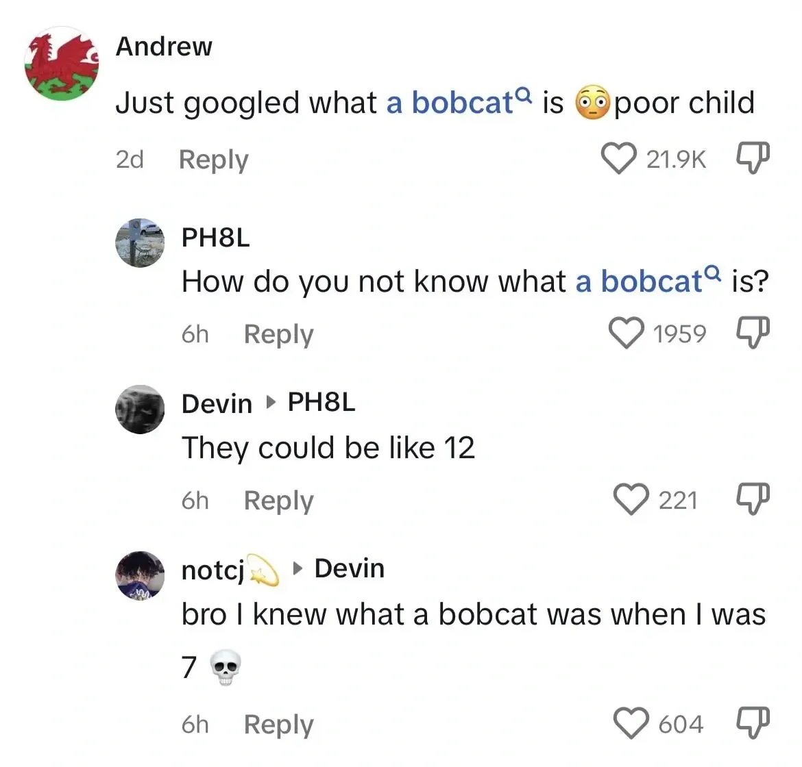 TikTok comment thread. Andrew (Welsh flag avatar, 2d): "Just googled what a bobcat is" with shocked emoji "poor child". Reply: PH8L (6h): "How do you not know what a bobcat is?" Reply: Devin replying to PH8L (6h): "They could be like 12". Reply: notcj (hand wave emoji, replying to Devin, 6h): "bro I knew what a bobcat was when I was 7" with skull emoji