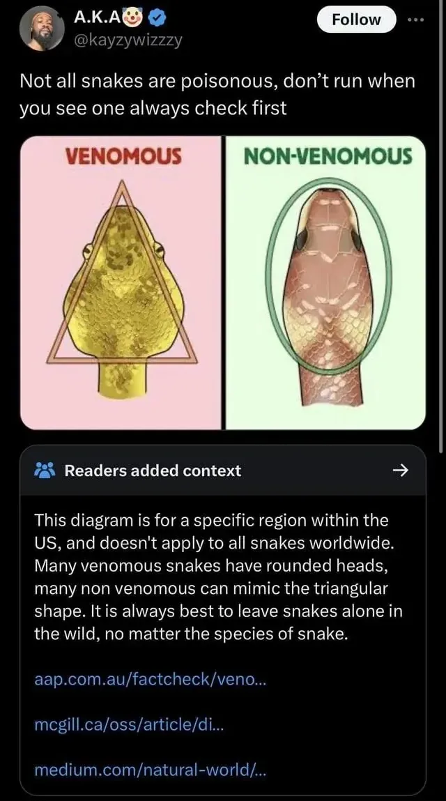 Twitter/X post. A.K.A (verified) @kayzywizzzy (Follow button): "Not all snakes are poisonous, don't run when you see one always check first" with infographic comparing venomous (triangular head) vs non-venomous (rounded head) snake shapes. "Readers added context" note below: "This diagram is for a specific region within the US, and doesn't apply to all snakes worldwide. Many venomous snakes have rounded heads, many non venomous can mimic the triangular shape." with fact-check links from aap.com.au, mcgill.ca, medium.com