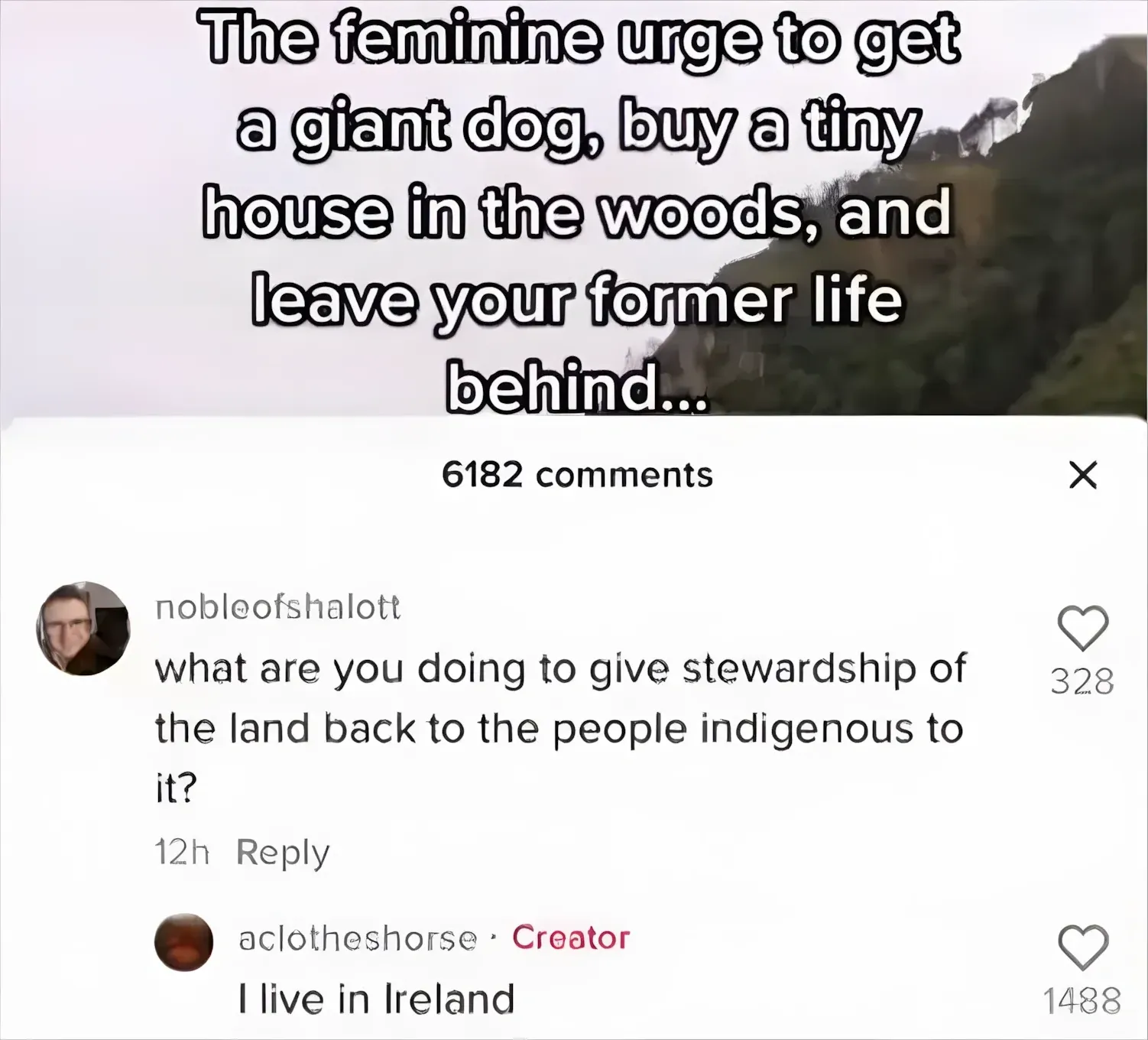 TikTok comment thread. Video about "The feminine urge to get a giant dog, buy a tiny house in the woods, and leave your former life behind...". nobleofshalott (12h): "what are you doing to give stewardship of the land back to the people indigenous to it?" Reply: aclotheshorse (Creator tag): "I live in Ireland"