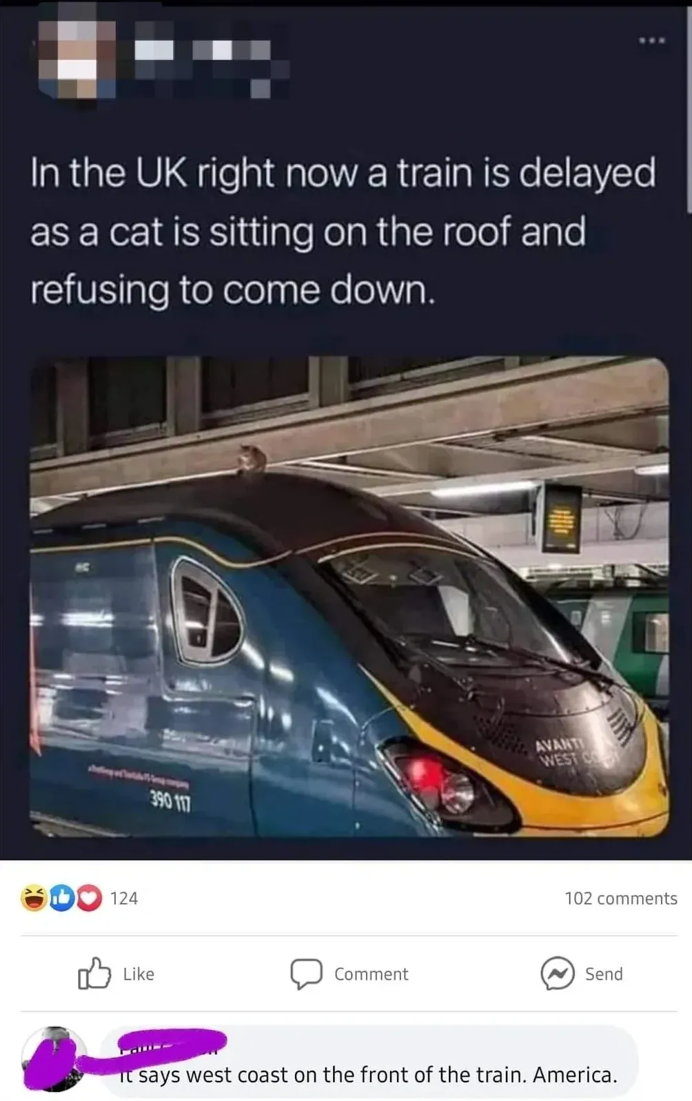 Facebook post with photo of an Avanti West Coast train (number 390 117) at a UK station. Post text: "In the UK right now a train is delayed as a cat is sitting on the roof and refusing to come down." Comment below: "it says west coast on the front of the train. America."