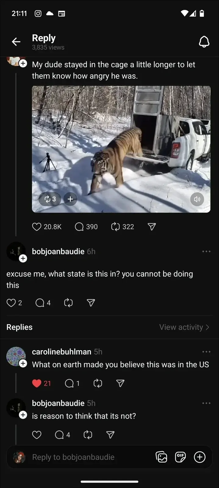 Instagram/TikTok post. Video showing a tiger emerging from a transport cage in snowy forest next to a white vehicle, with a camera on a tripod nearby. Caption: "My dude stayed in the cage a little longer to let them know how angry he was." Comment: bobjoanbaudie (6h): "excuse me, what state is this in? you cannot be doing this". Reply: carolinebuhlman (5h, 21 red hearts): "What on earth made you believe this was in the US". Reply: bobjoanbaudie (5h): "is reason to think that its not?"