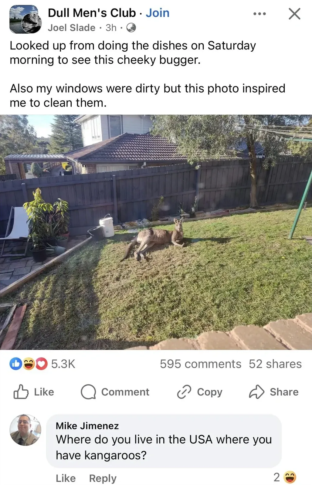 Facebook post from Dull Men's Club (Join button). Joel Slade (3h). Text: "Looked up from doing the dishes on Saturday morning to see this cheeky bugger. Also my windows were dirty but this photo inspired me to clean them." Photo shows a backyard garden with two kangaroos on the lawn, green grass, wooden fence, and a swing set. 5.3K reactions. Comment below: Mike Jimenez: "Where do you live in the USA where you have kangaroos?"