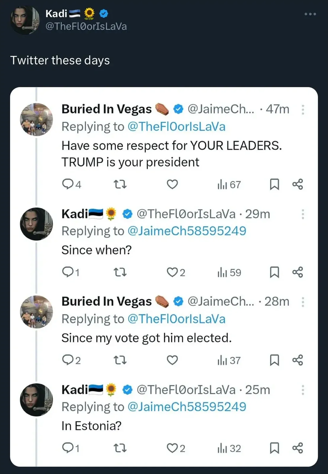 Twitter/X thread (partial view). Kadi (Estonian flag) @TheFlOorIsLaVa: "Twitter these days". Embedded thread: Buried In Vegas @JaimeCh... (47m) replying to @TheFlOorIsLaVa: "Have some respect for YOUR LEADERS. TRUMP is your president". Reply: Kadi @TheFlOorIsLaVa (29m): "Since when?" Reply: Buried In Vegas @JaimeCh... (28m): "Since my vote got him elected." Reply: Kadi @TheFlOorIsLaVa (25m): "In Estonia?"