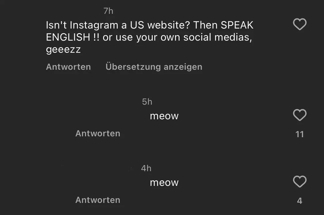 Instagram comment thread in German interface ("Antworten", "Ubersetzung anzeigen"). First comment (7h): "Isn't Instagram a US website? Then SPEAK ENGLISH!! or use your own social medias, geeezz". Two replies below both just say "meow" (5h,; 4h).
