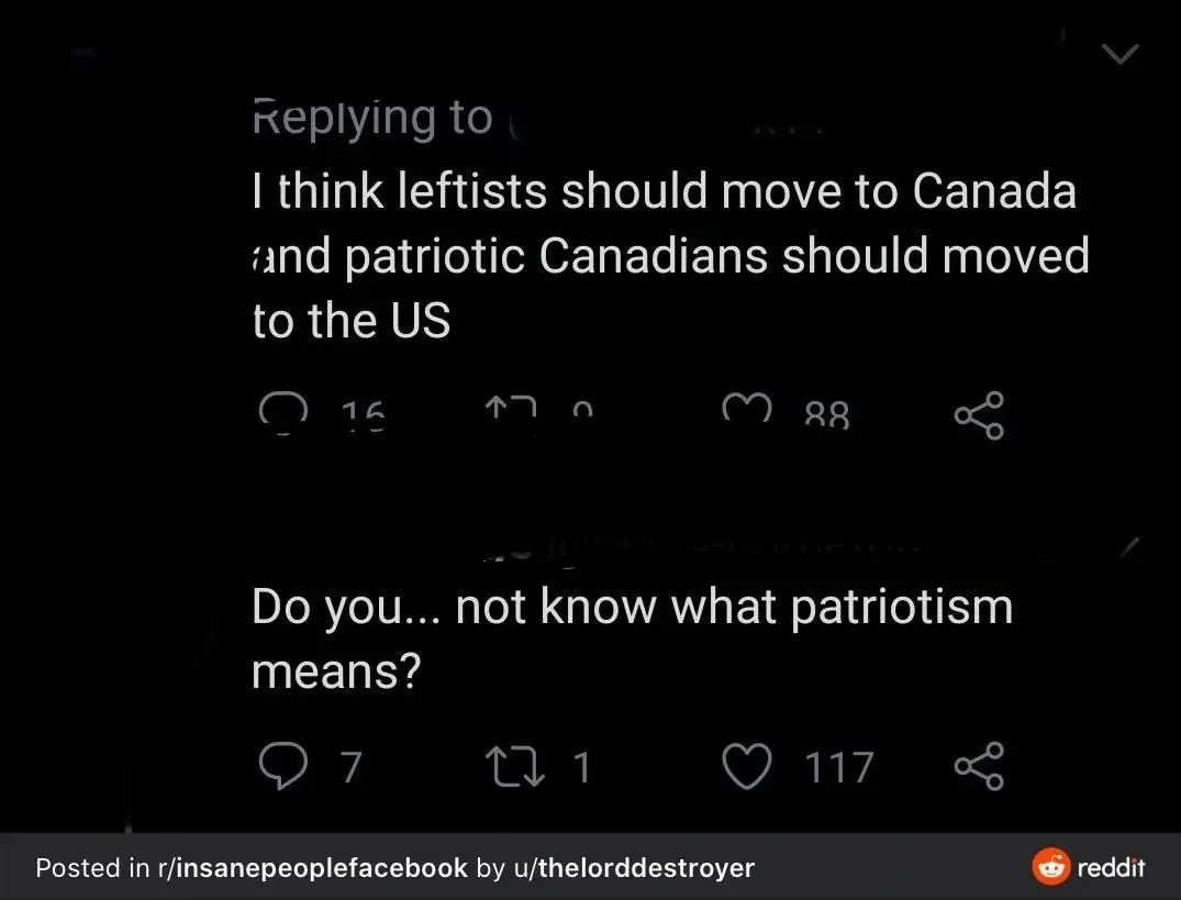 Twitter/X thread posted in r/insanepeoplefacebook by u/thelorddestroyer. First tweet: "I think leftists should move to Canada and patriotic Canadians should moved to the US". Reply: "Do you... not know what patriotism means?"