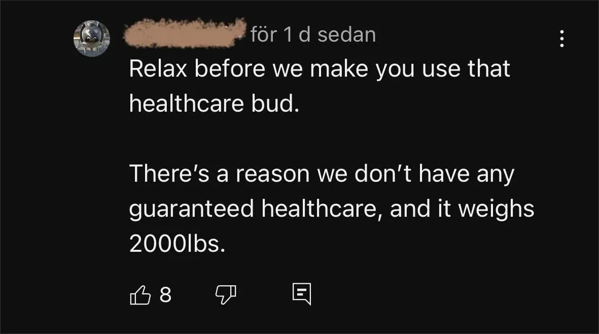 YouTube comment in Swedish interface ("for 1 d sedan"). Username scribbled. Text: "Relax before we make you use that healthcare bud. There's a reason we don't have any guaranteed healthcare, and it weighs 2000lbs."