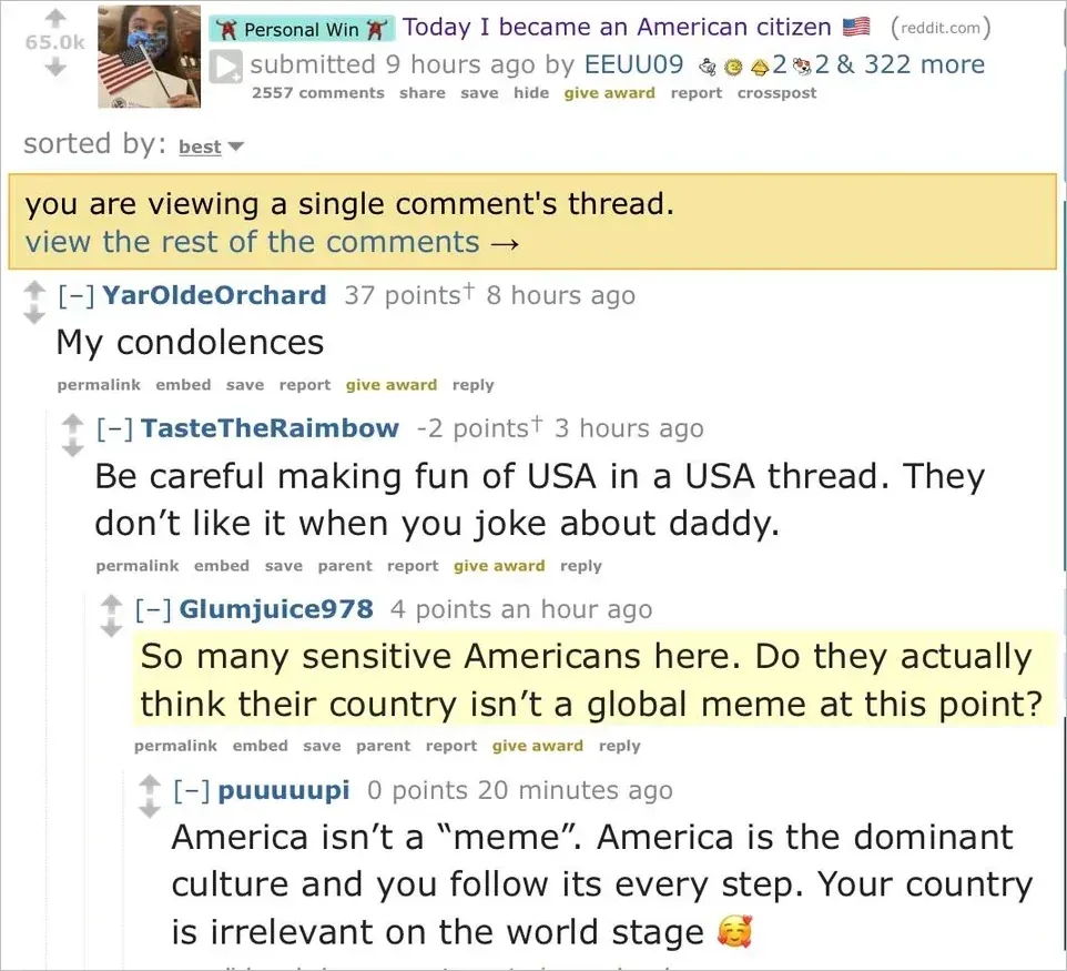 Reddit old design. Post with "Personal Win" flair: "Today I became an American citizen [American flag emoji]" by EEUU09. Comment thread: YarOldeOrchard (8h): "My condolences". TasteTheRaimbow (-2 points, 3h): "Be careful making fun of USA in a USA thread. They don't like it when you joke about daddy." Glumjuice978 (1h, highlighted yellow): "So many sensitive Americans here. Do they actually think their country isn't a global meme at this point?" puuuuupi (20m): "America isn't a 'meme'. America is the dominant culture and you follow its every step. Your country is irrelevant on the world stage [hugging emoji]"
