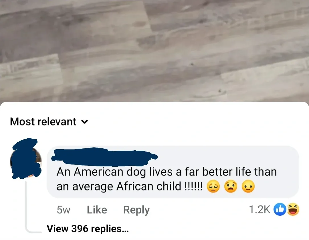 Facebook comment section. Comment (name blacked out, 5w, 1.2K reactions): An American dog lives a far better life than an average African child!!! with sad face emojis