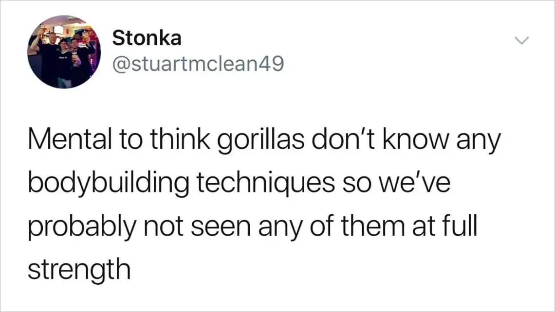 Scottish shower thought about gorillas