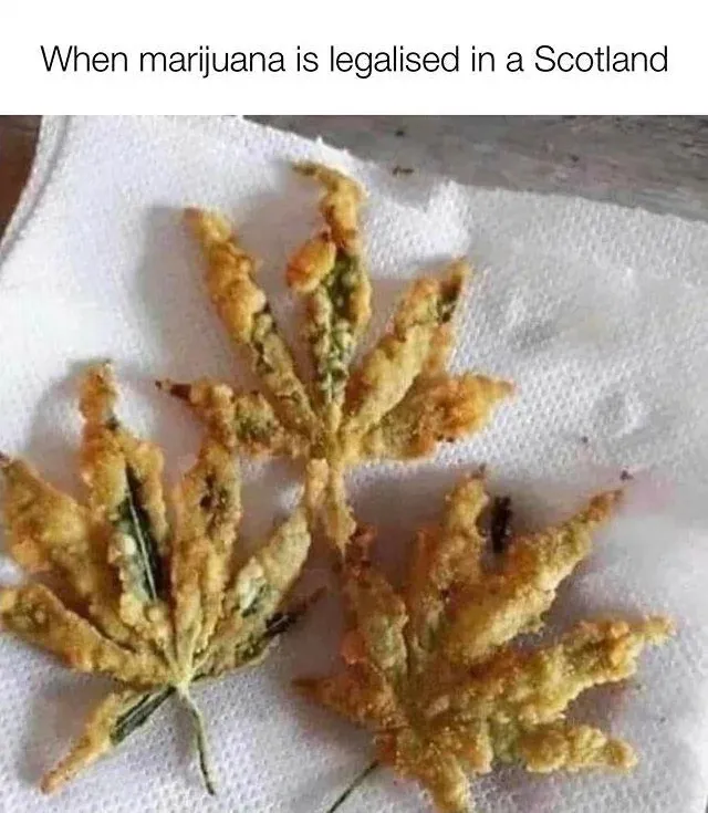 Meme - When marijuana is legalised in a Scotland. Photo of cannabis leaves deep-fried in batter on kitchen roll