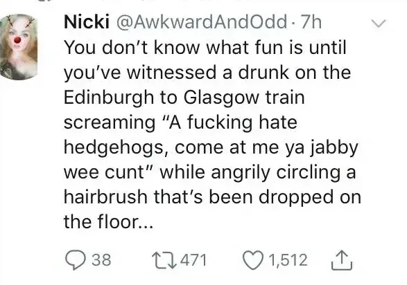 Nicki @AwkwardAndOdd tweet - You don't know what fun is until you've witnessed a drunk on the Edinburgh to Glasgow train screaming "A fucking hate hedgehogs, come at me ya jabby wee cunt" while angrily circling a hairbrush that's been dropped on the floor...
