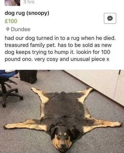 Facebook Marketplace listing - dog rug (snoopy), 100 pounds, Dundee. Had our dog turned in to a rug when he died. Treasured family pet. Has to be sold as new dog keeps trying to hump it. Lookin for 100 pound ono. Very cosy and unusual piece x. Photo shows a dog-shaped rug spread flat on the floor
