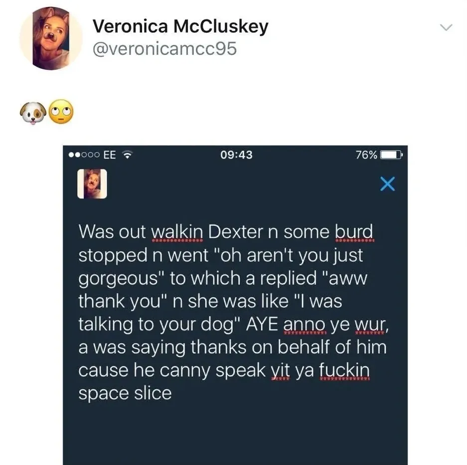 Veronica McCluskey @veronicamcc95 tweet with screenshot - Was out walkin Dexter n some burd stopped n went oh aren't you just gorgeous to which a replied aww thank you n she was like I was talking to your dog AYE anno ye wur, a was saying thanks on behalf of him cause he canny speak yit ya fuckin space slice