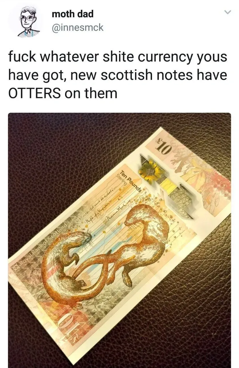moth dad @innesmck tweet - fuck whatever shite currency yous have got, new scottish notes have OTTERS on them. Photo of a Scottish 10 pound note featuring otters