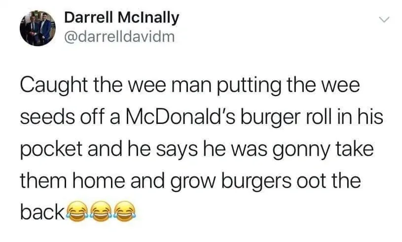 Darrell McInally @darrelldavidm tweet - Caught the wee man putting the wee seeds off a McDonald's burger roll in his pocket and he says he was gonny take them home and grow burgers oot the back