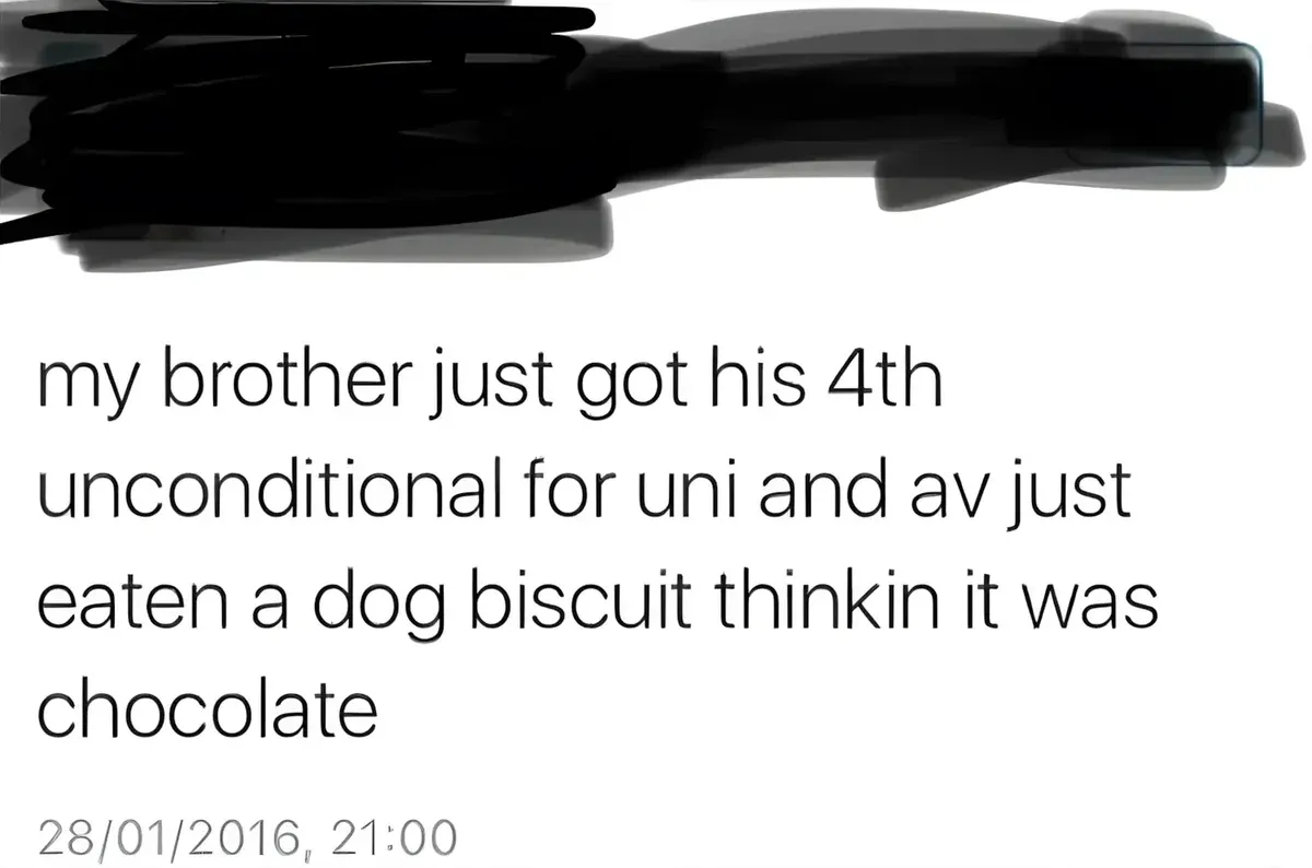 Tweet (handle obscured, 28/01/2016) - my brother just got his 4th unconditional for uni and av just eaten a dog biscuit thinkin it was chocolate