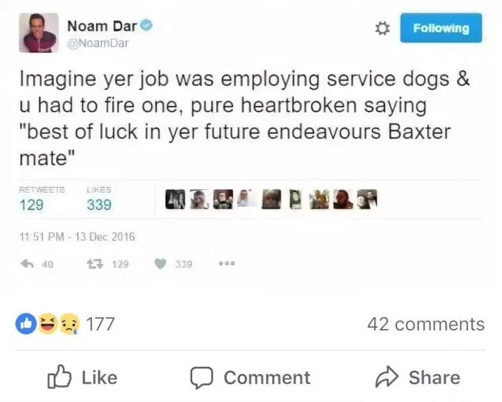 Noam Dar @NoamDar tweet (13 Dec 2016) - Imagine yer job was employing service dogs & u had to fire one, pure heartbroken saying best of luck in yer future endeavours Baxter mate. 177 Facebook reactions
