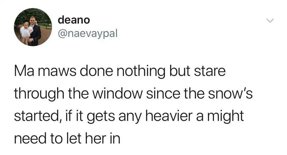 deano @naevaypal tweet - Ma maws done nothing but stare through the window since the snow's started, if it gets any heavier a might need to let her in