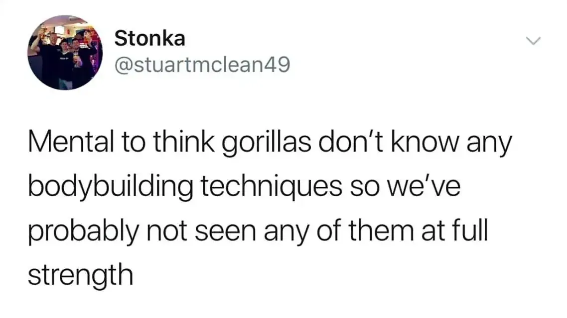 Stonka @stuartmclean49 tweet - Mental to think gorillas don't know any bodybuilding techniques so we've probably not seen any of them at full strength