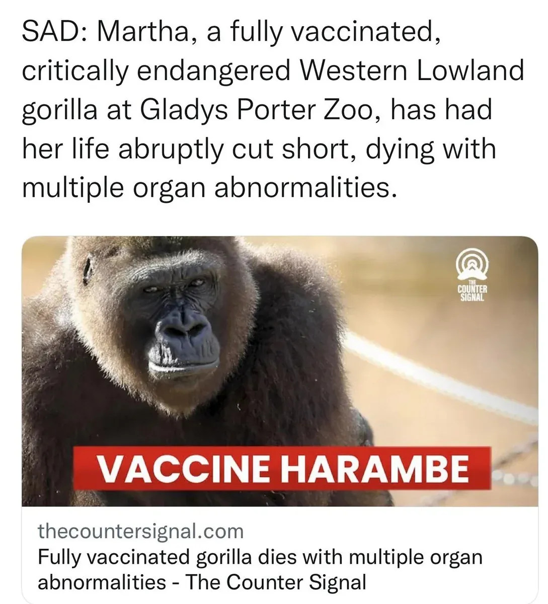 Counter Signal - Fully vaccinated gorilla died with multiple organ abnormalities