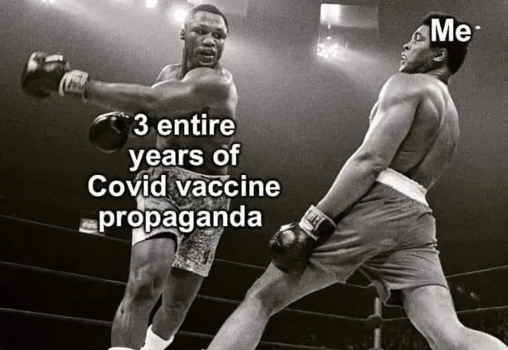 Boxing meme - dodging 3 years of Covid vaccine propaganda