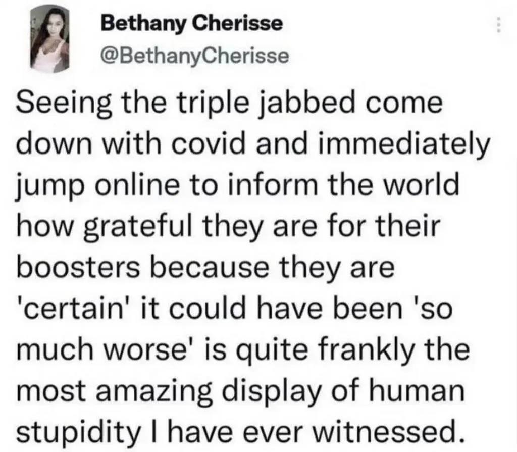 Bethany Cherisse @BethanyCherisse tweet - triple jabbed getting covid and going online to say grateful for boosters because certain it could have been so much worse is the most amazing display of human stupidity